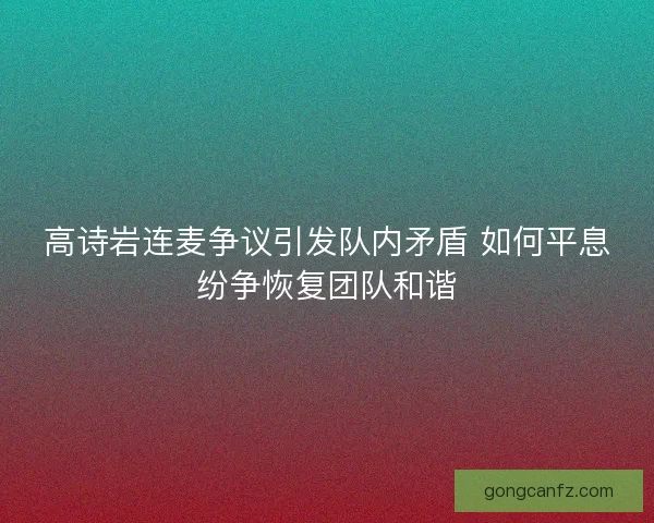高诗岩连麦争议引发队内矛盾 如何平息纷争恢复团队和谐