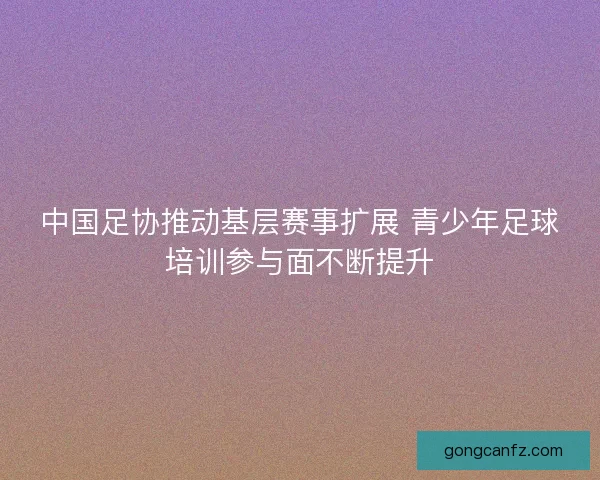 中国足协推动基层赛事扩展 青少年足球培训参与面不断提升