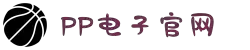 PP电子·(中国)官方网站